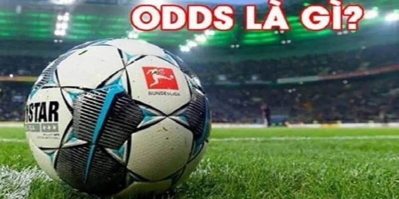 Odds Là Gì? Phân Tích Chi Tiết Và Cách Tính Tiền Chuẩn