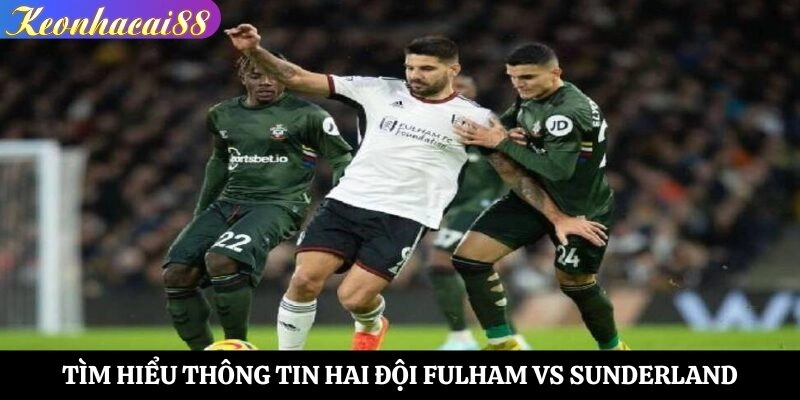 Tìm hiểu thông tin hai đội Fulham vs Sunderland