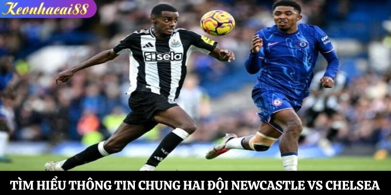 Tìm hiểu thông tin chung hai đội Newcastle vs Chelsea