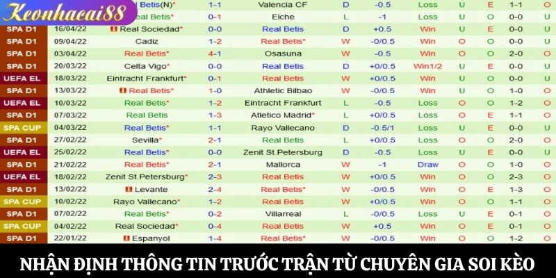 Nhận định thông tin trước trận từ chuyên gia soi kèo