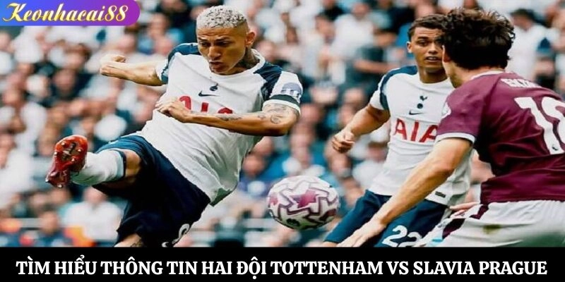 Tìm hiểu thông tin hai đội Tottenham vs Slavia Prague